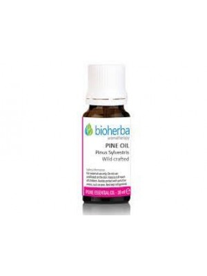 Essential oils of white pine 10ml.